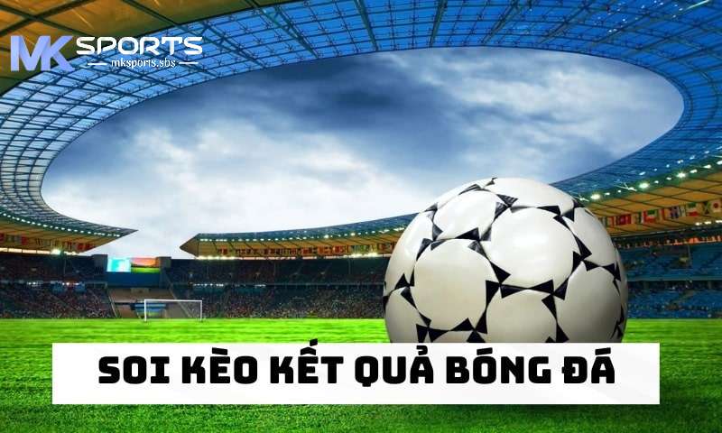 Giới thiệu ý nghia việc soi kèo bóng đá tại MKsports